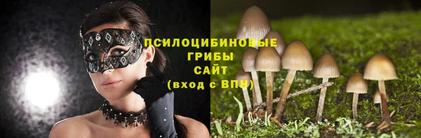 а пвп мука Алзамай