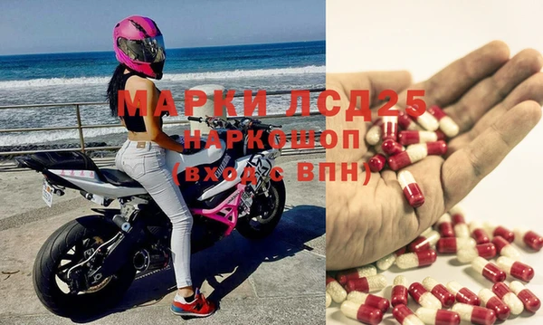 а пвп мука Алзамай
