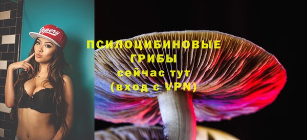 а пвп мука Алзамай