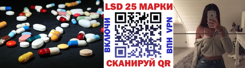 где купить наркоту  Злынка  блэк спрут зеркало  Лсд 25 экстази кислота 