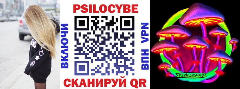 мега маркетплейс  купить наркотик  Злынка  Галлюциногенные грибы MAGIC MUSHROOMS 